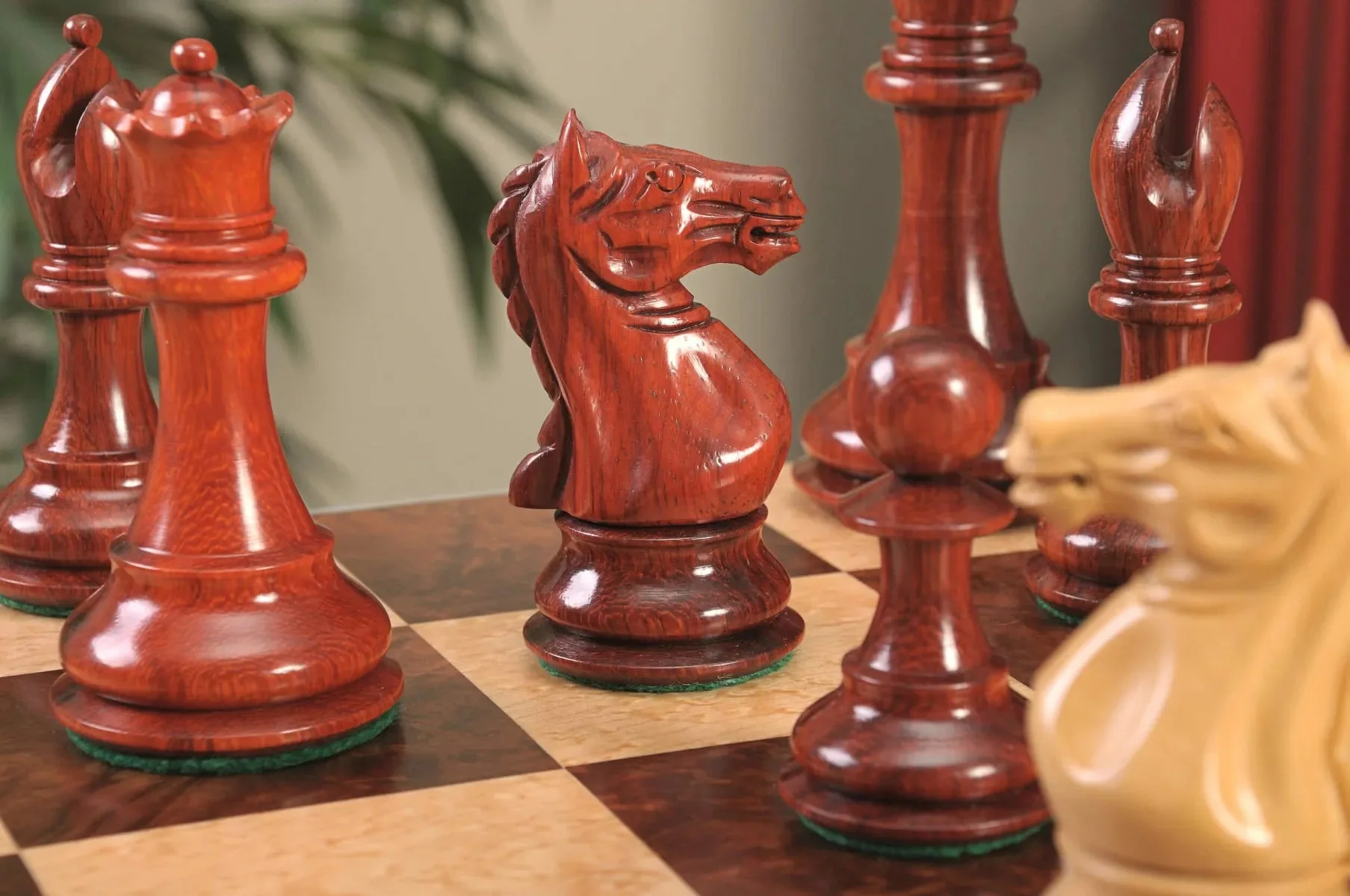 Blood Rosewood and Natural Boxwood - Image 7