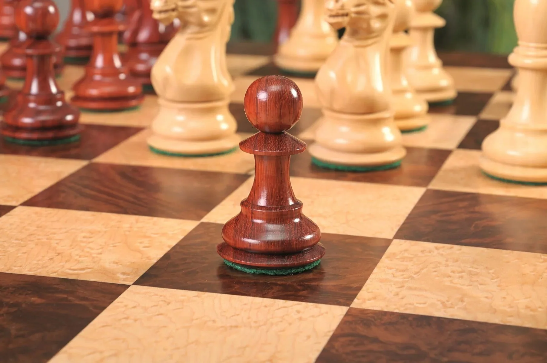 Blood Rosewood and Natural Boxwood - Image 9
