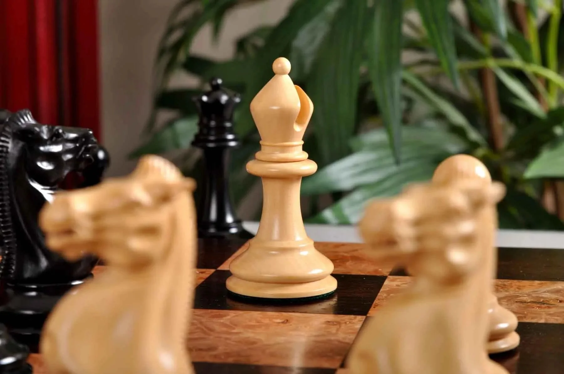 Genuine Ebony and Natural Boxwood - Image 11
