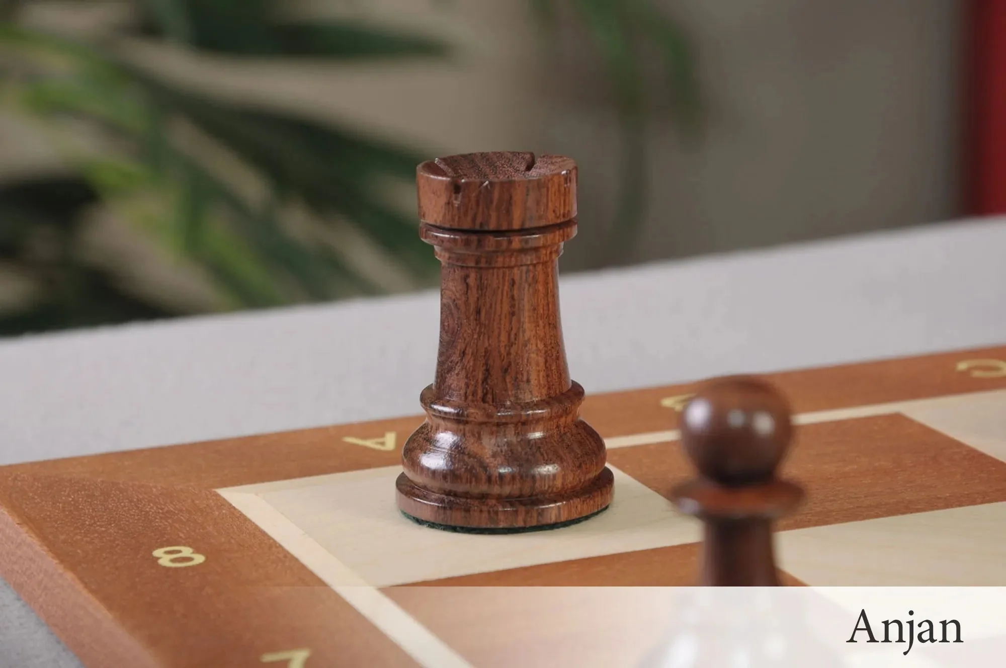 Anjan and Natural Boxwood - Image 6