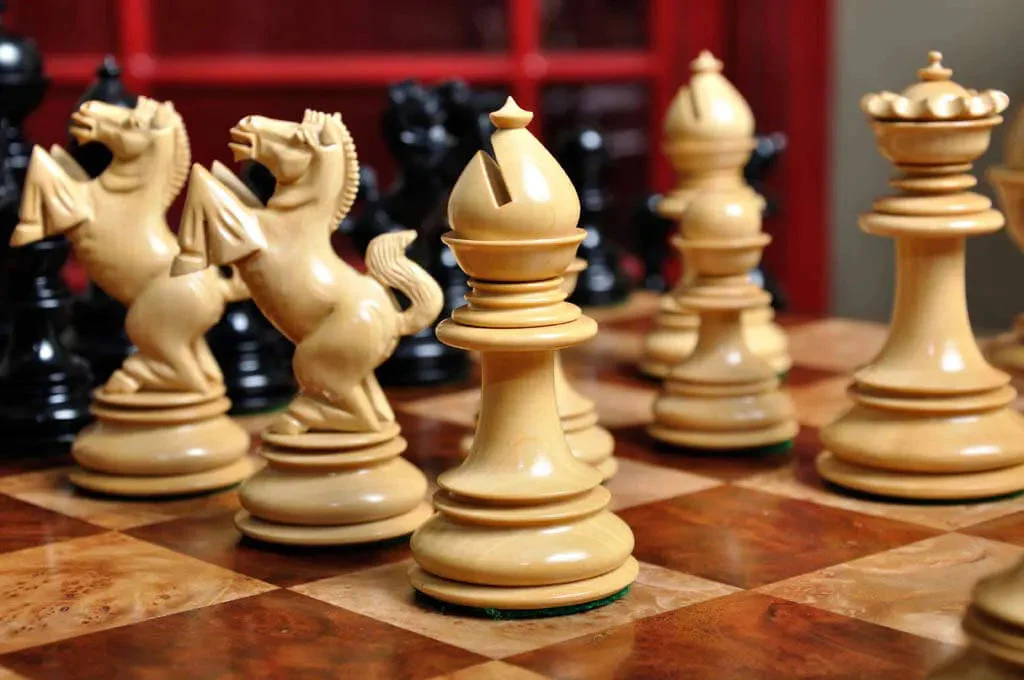 Genuine Ebony and Natural Boxwood - Image 9
