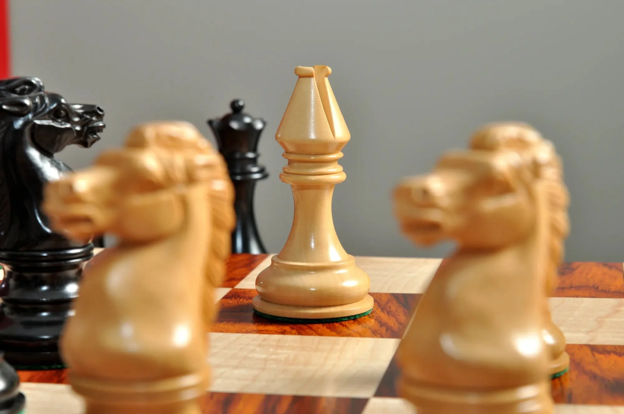 Genuine Ebony and Natural Boxwood - Image 7