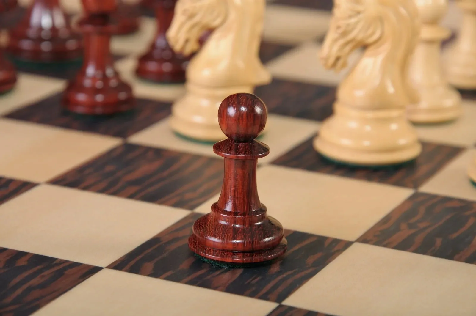 Blood Rosewood and Natural Boxwood - Image 7