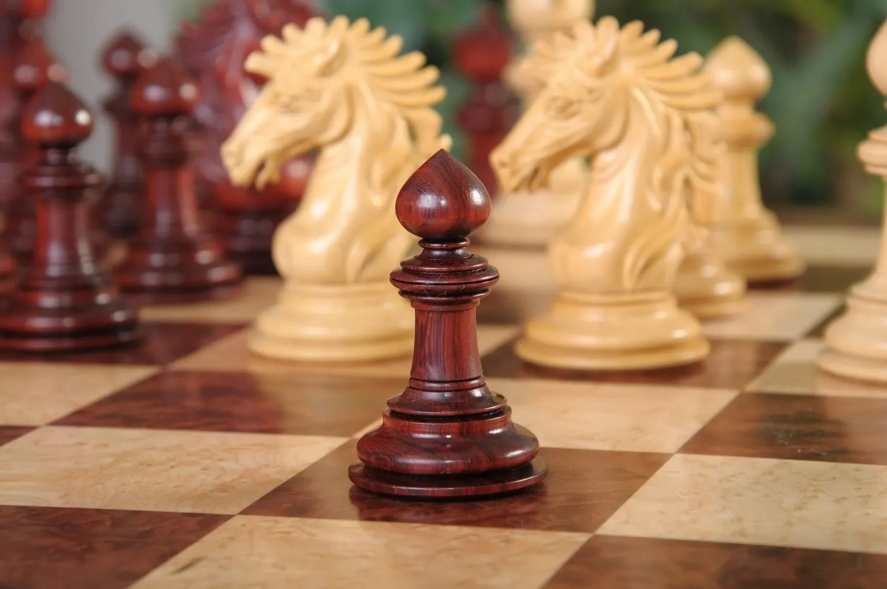 Blood Rosewood and Natural Boxwood - Image 9