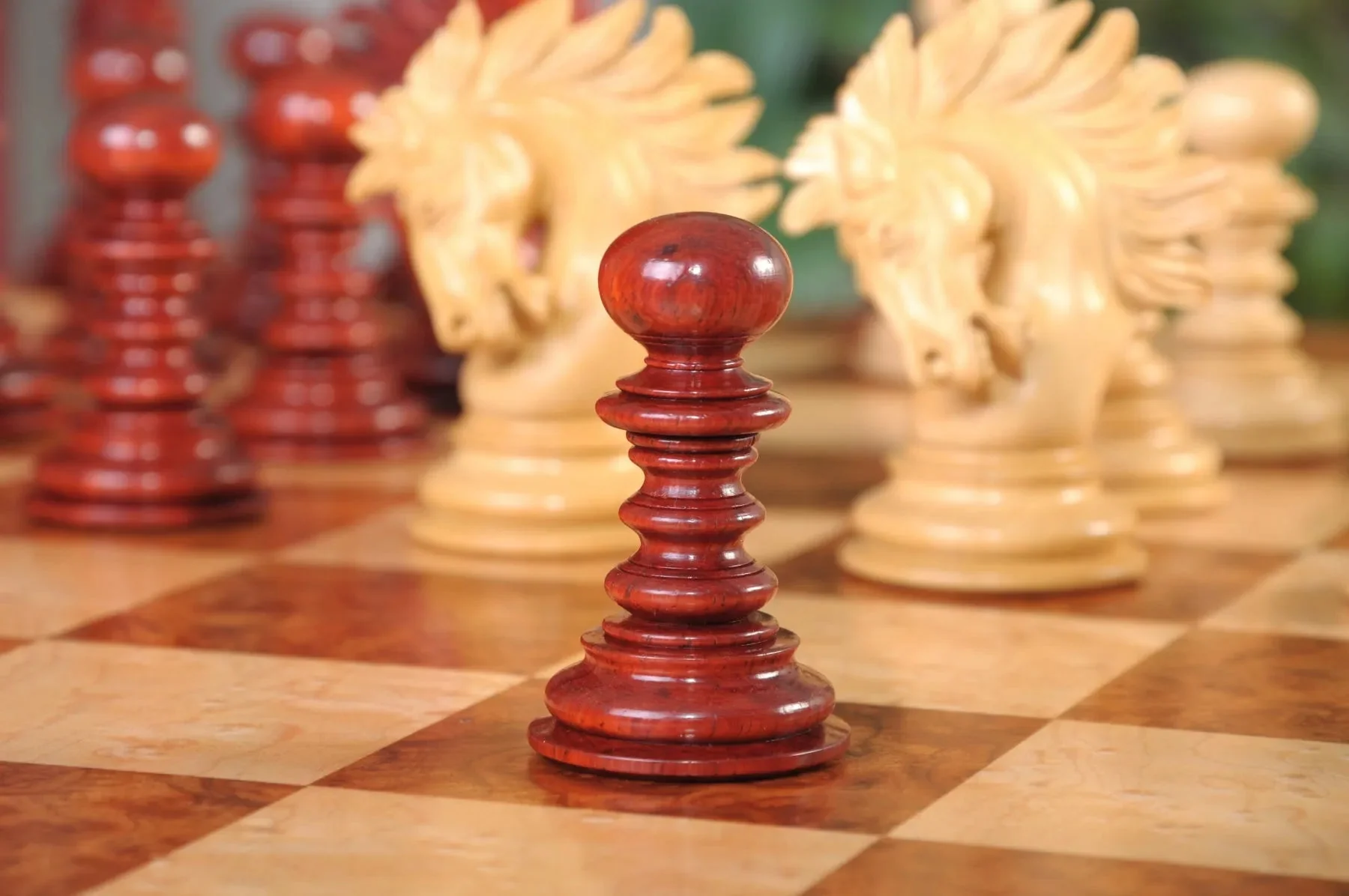 Blood Rosewood and Natural Boxwood - Image 5
