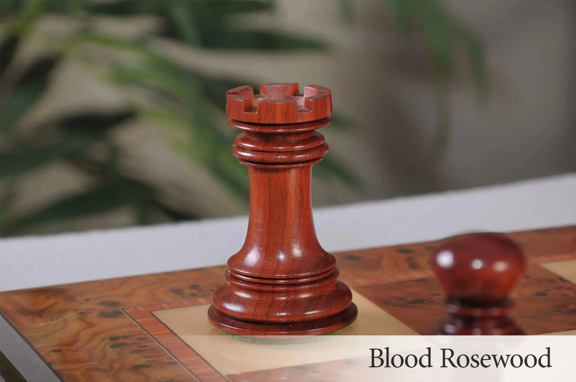 Blood Rosewood and Natural Boxwood - Image 5