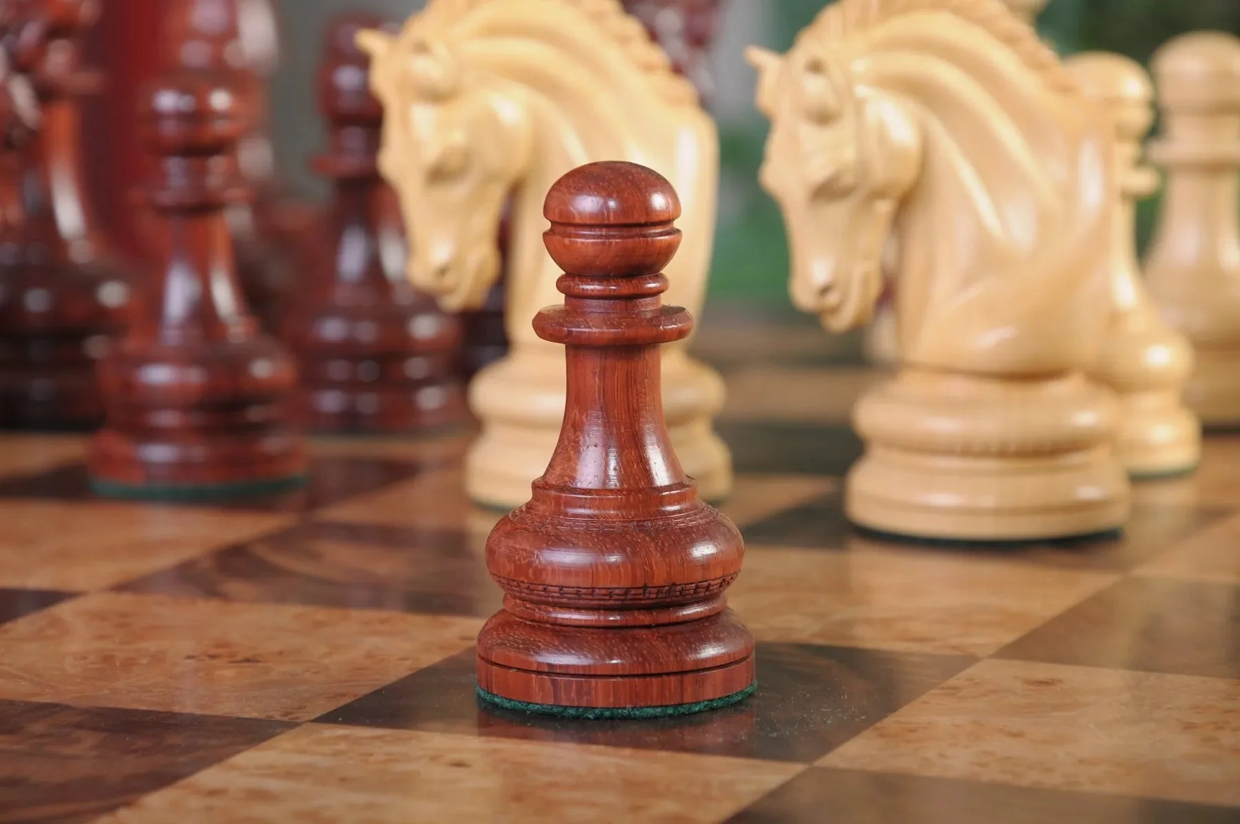 Blood Rosewood and Natural Boxwood - Image 7