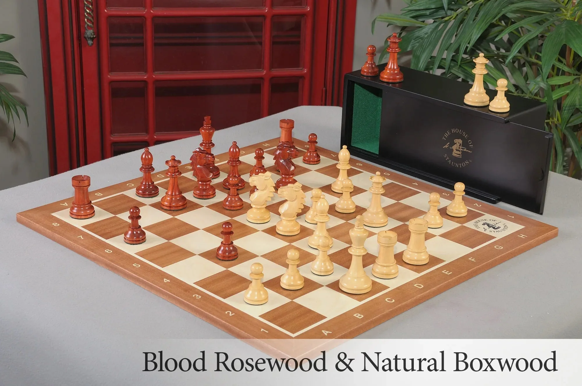 Blood Rosewood and Natural Boxwood
