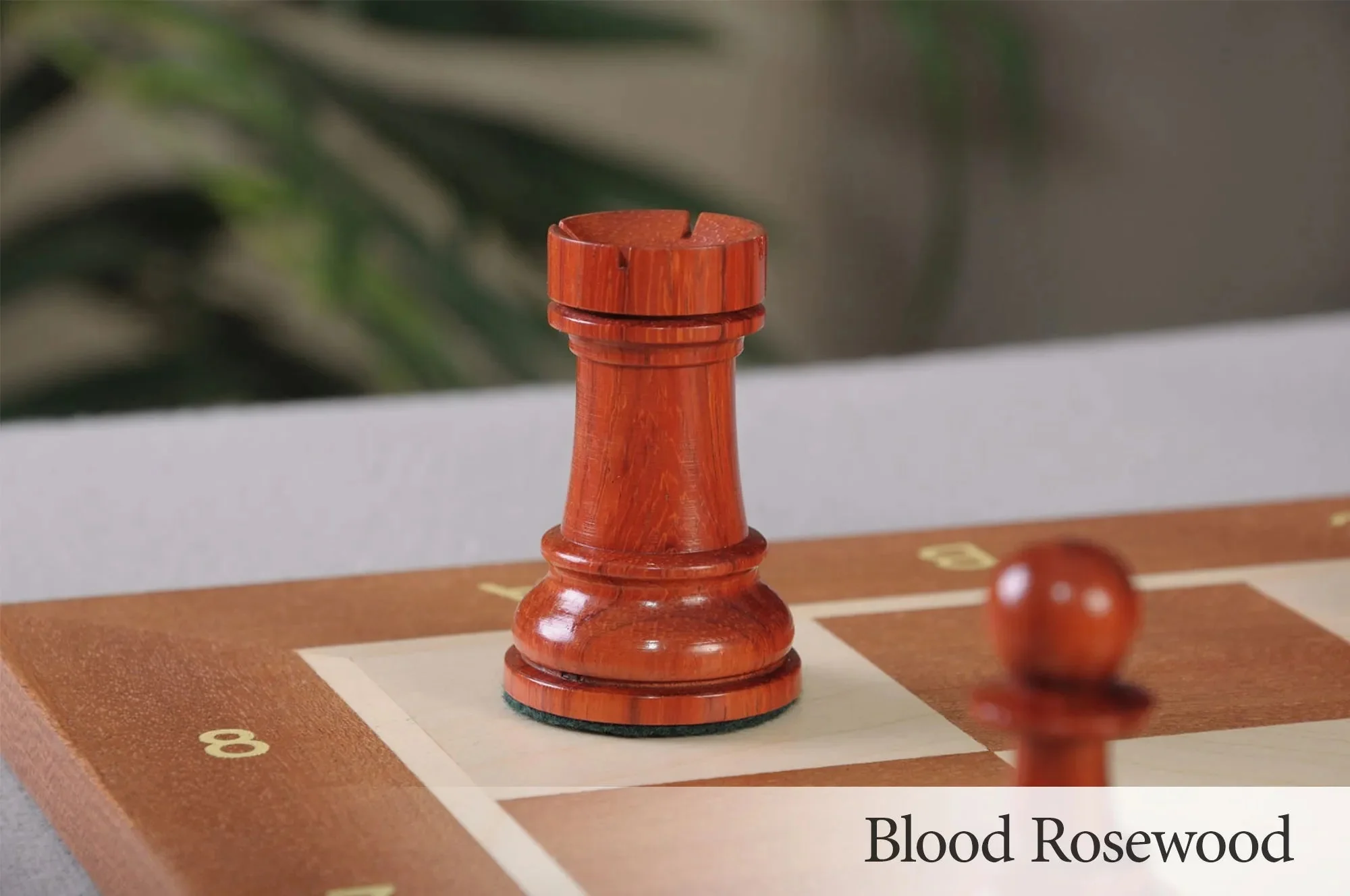 Blood Rosewood and Natural Boxwood - Image 5