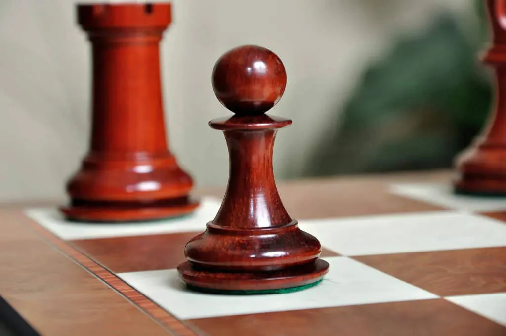 Blood Rosewood and Natural Boxwood - Image 11