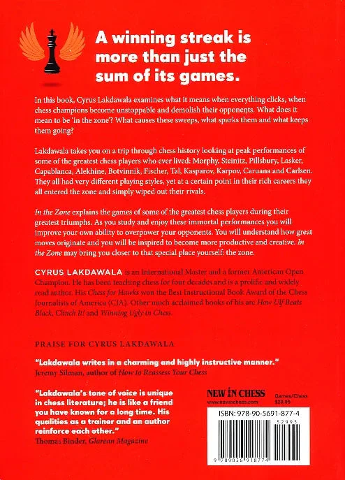 CLEARANCE - In The Zone - Image 2