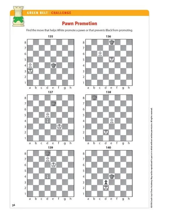 Coach Jay's Chess Academy - #4 Green Belt Puzzles - Image 6