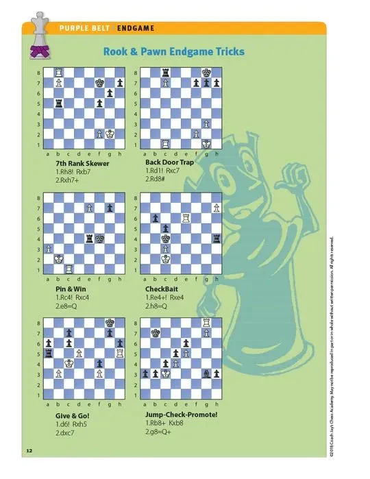 Coach Jay's Chess Academy - #5 Purple Belt Puzzles - Image 4