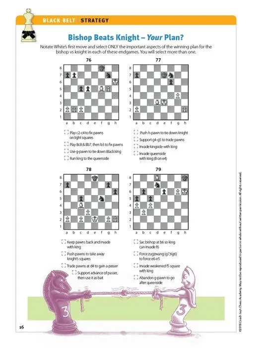 Coach Jay's Chess Academy - #7 Black Belt Puzzles - Image 5