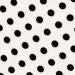White and Black Polka Dot / Black Board