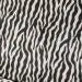 Zebra / Black Board