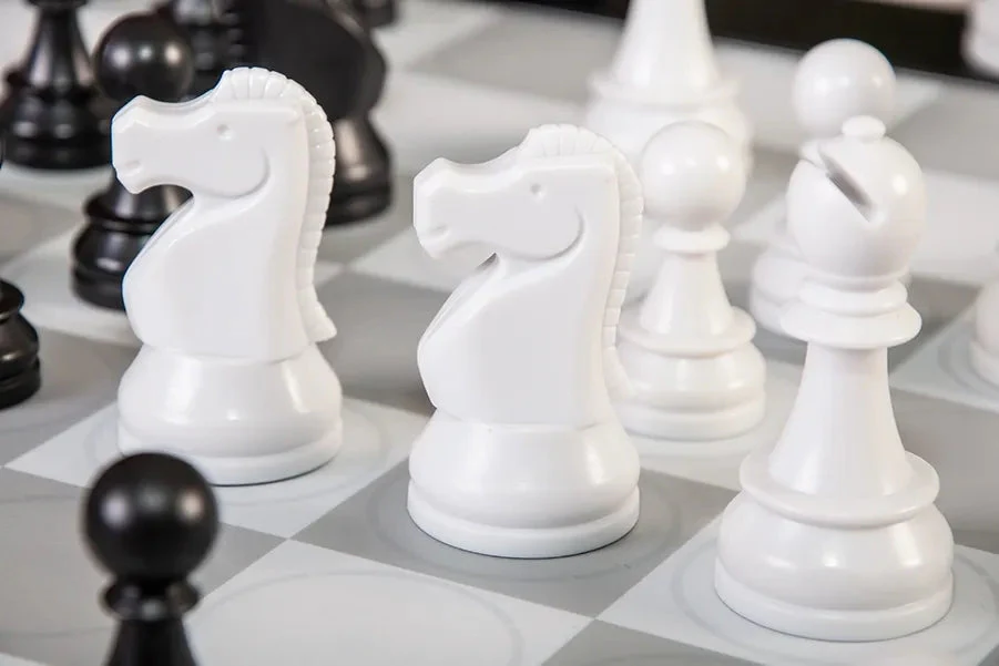 DGT Centaur Chess Computer - Image 7