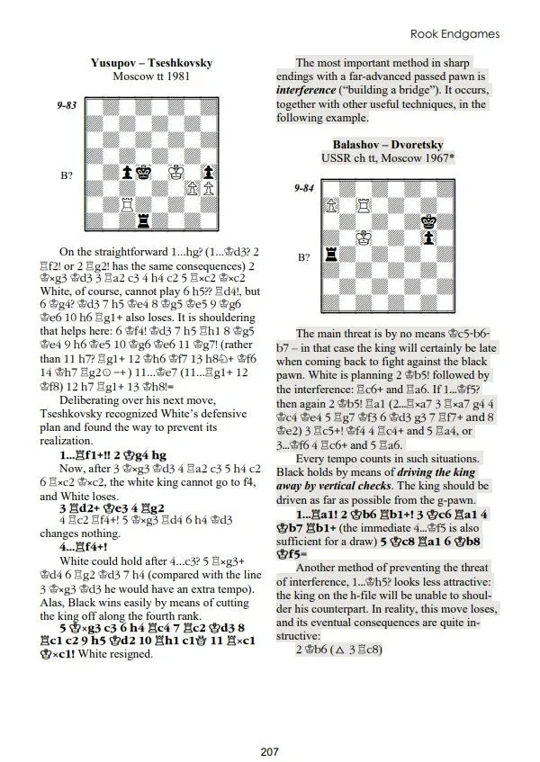 Dvoretsky's Endgame Manual – 6th Edition - PAPERBACK - Image 4