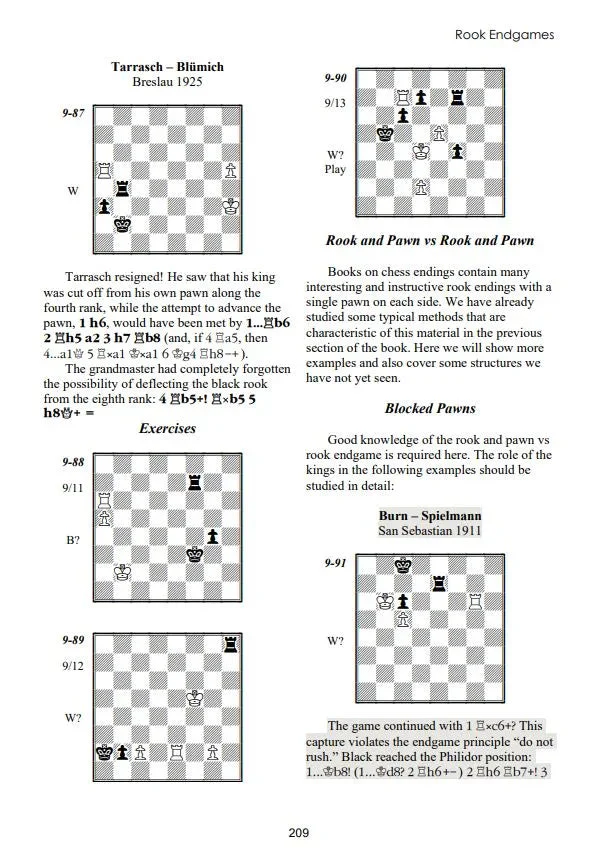 Dvoretsky's Endgame Manual – 6th Edition - PAPERBACK - Image 5