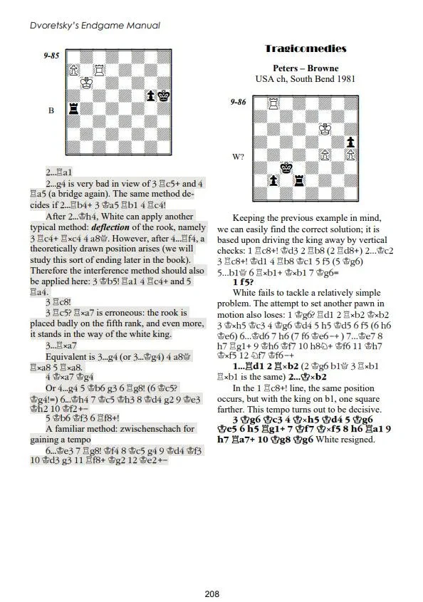 Dvoretsky's Endgame Manual – 6th Edition - PAPERBACK - Image 6