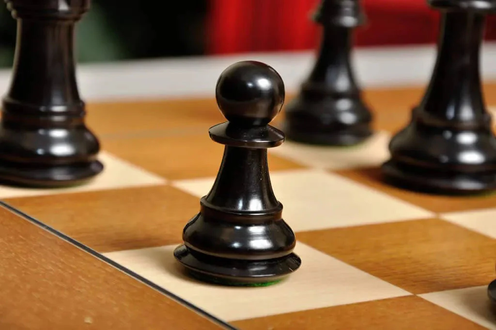 Ebonized Boxwood and Natural Boxwood - Image 9