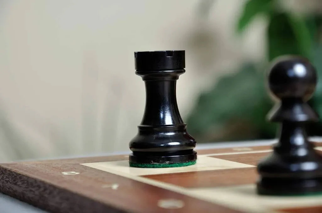Ebonized Boxwood and Natural Boxwood - Image 3