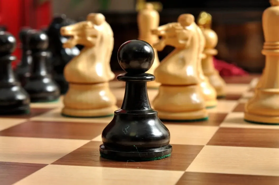 Ebonized Boxwood and Natural Boxwood - Image 4