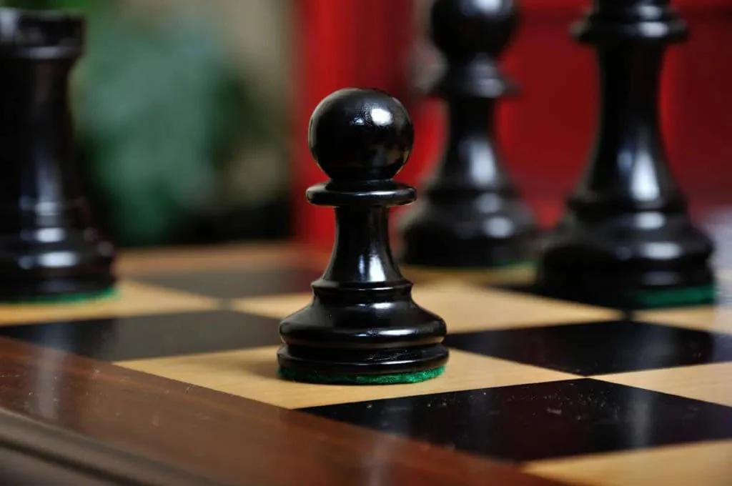 Ebonized Boxwood and Natural Boxwood - Image 4