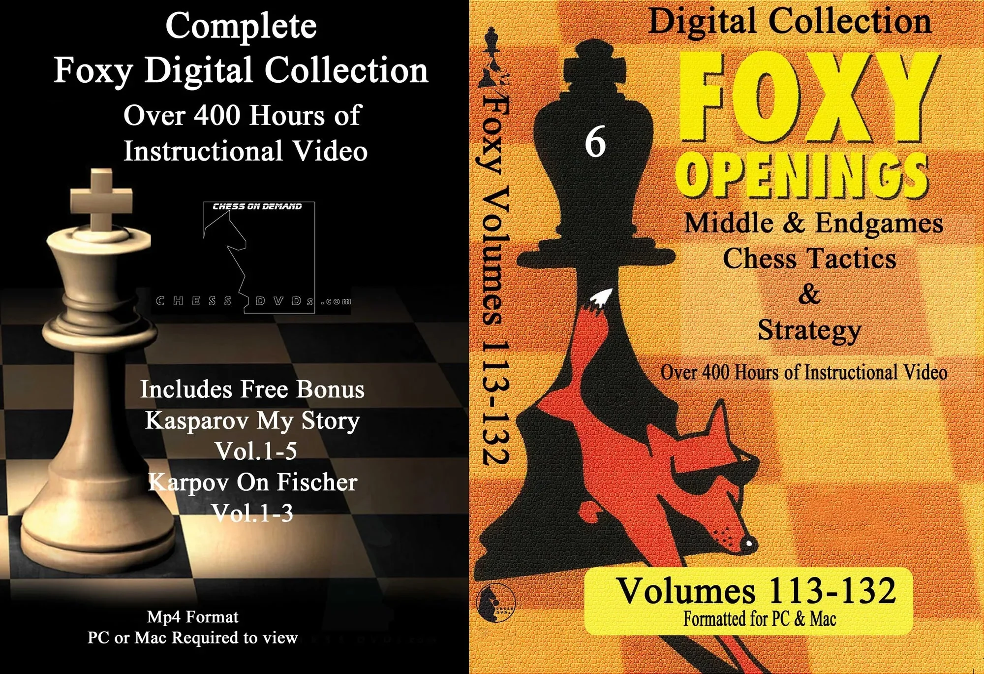 The Complete Foxy Openings on DVD - VOLUMES 1-187 PLUS KASPAROV AND KARPOV! - 9 DVDs - Image 16