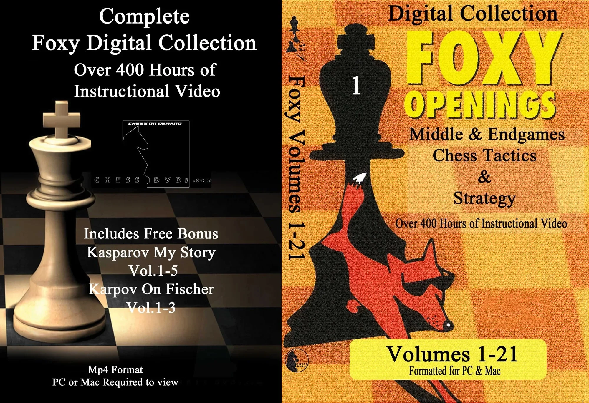 The Complete Foxy Openings on DVD - VOLUMES 1-187 PLUS KASPAROV AND KARPOV! - 9 DVDs - Image 17
