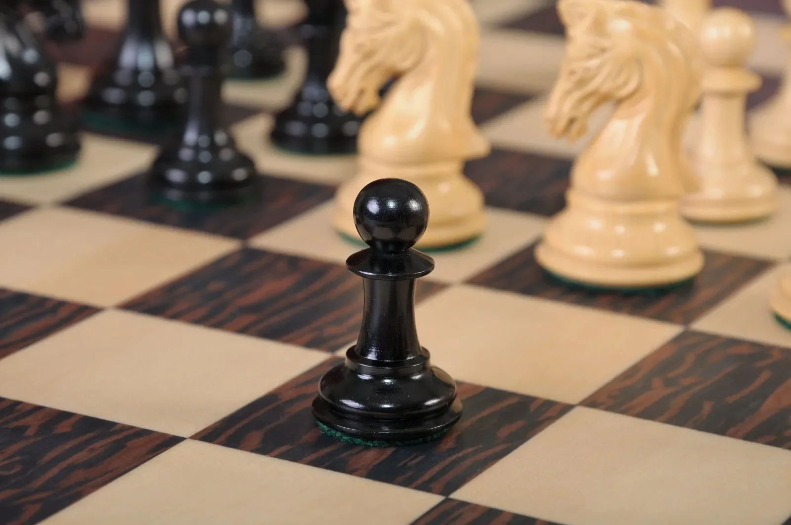 Genuine Ebony and Natural Boxwood - Image 6