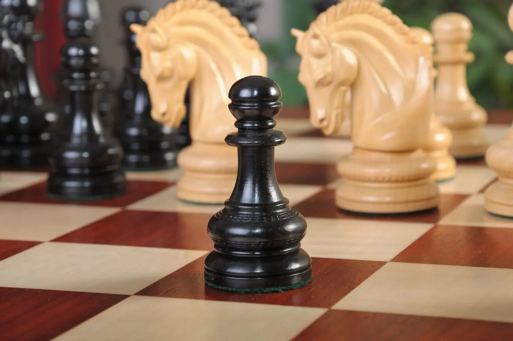 Genuine Ebony and Natural Boxwood - Image 5