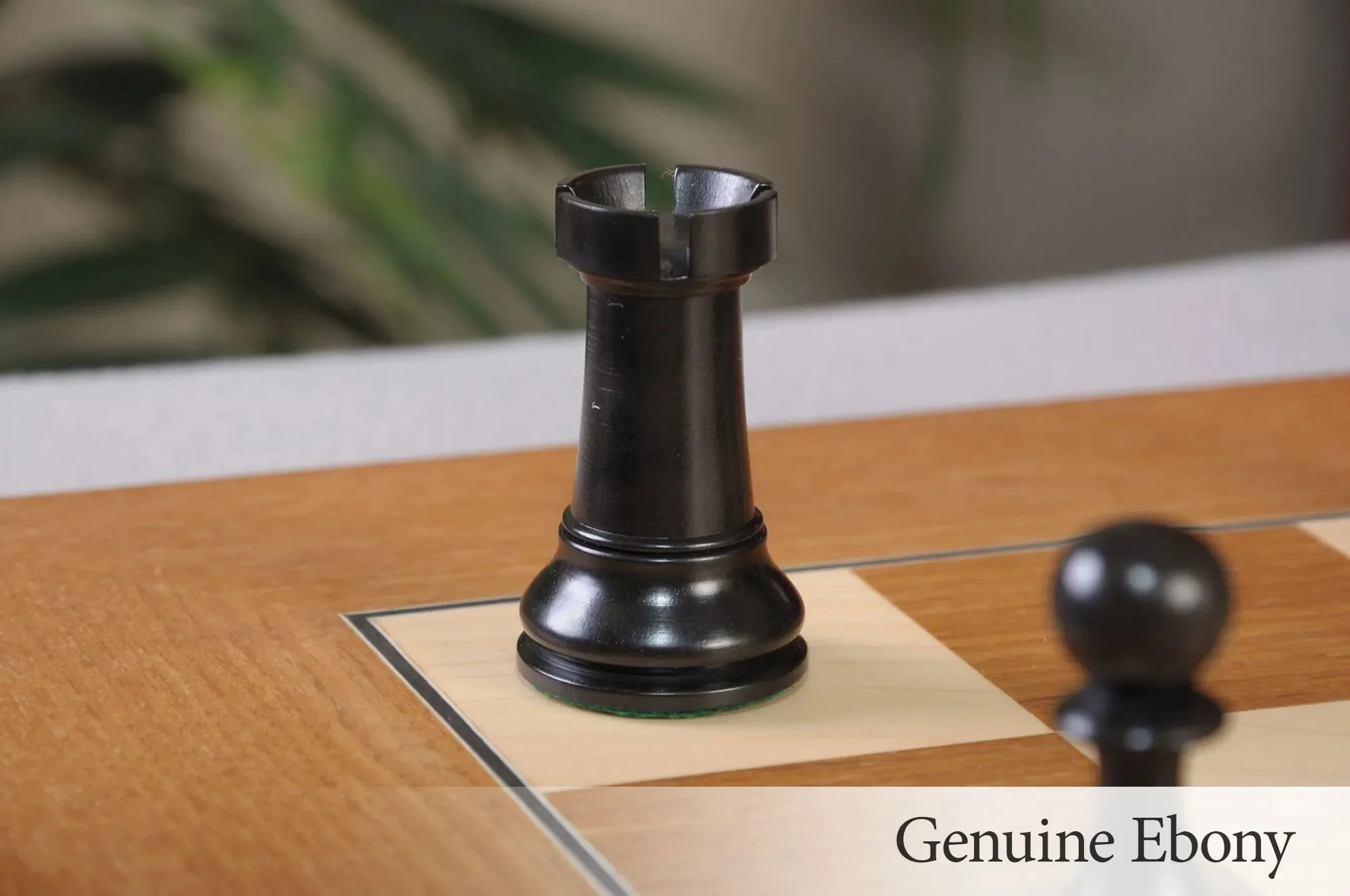 Genuine Ebony and Natural Boxwood - Image 8