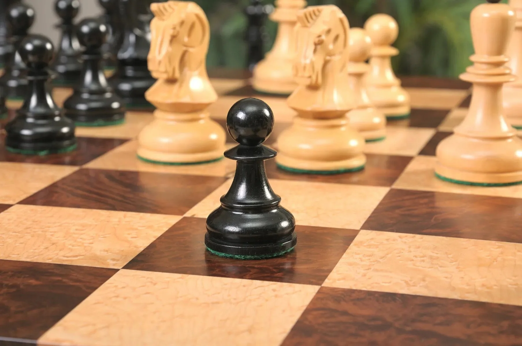 Genuine Ebony and Natural Boxwood - Image 13