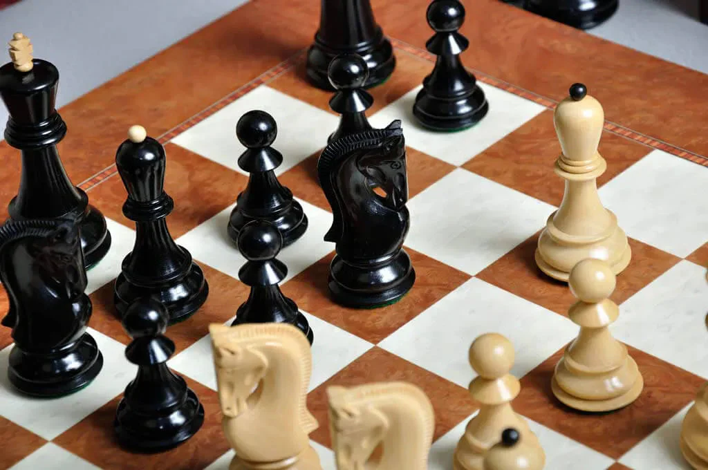 Genuine Ebony and Natural Boxwood - Image 9