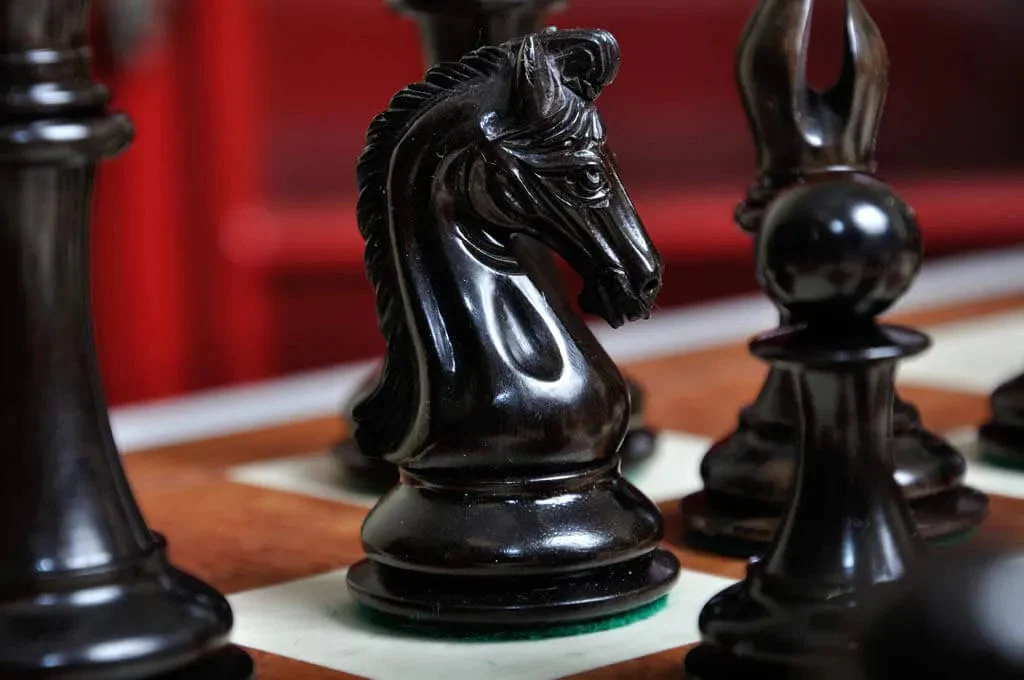 Genuine Ebony and Natural Boxwood - Image 3
