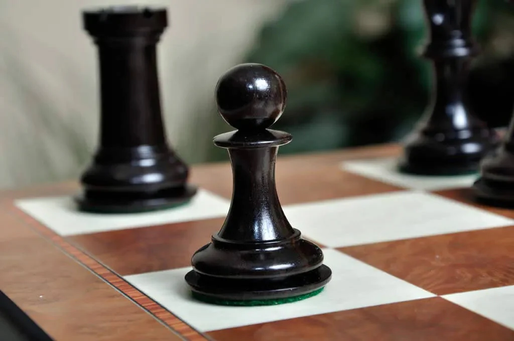 Genuine Ebony and Natural Boxwood - Image 5
