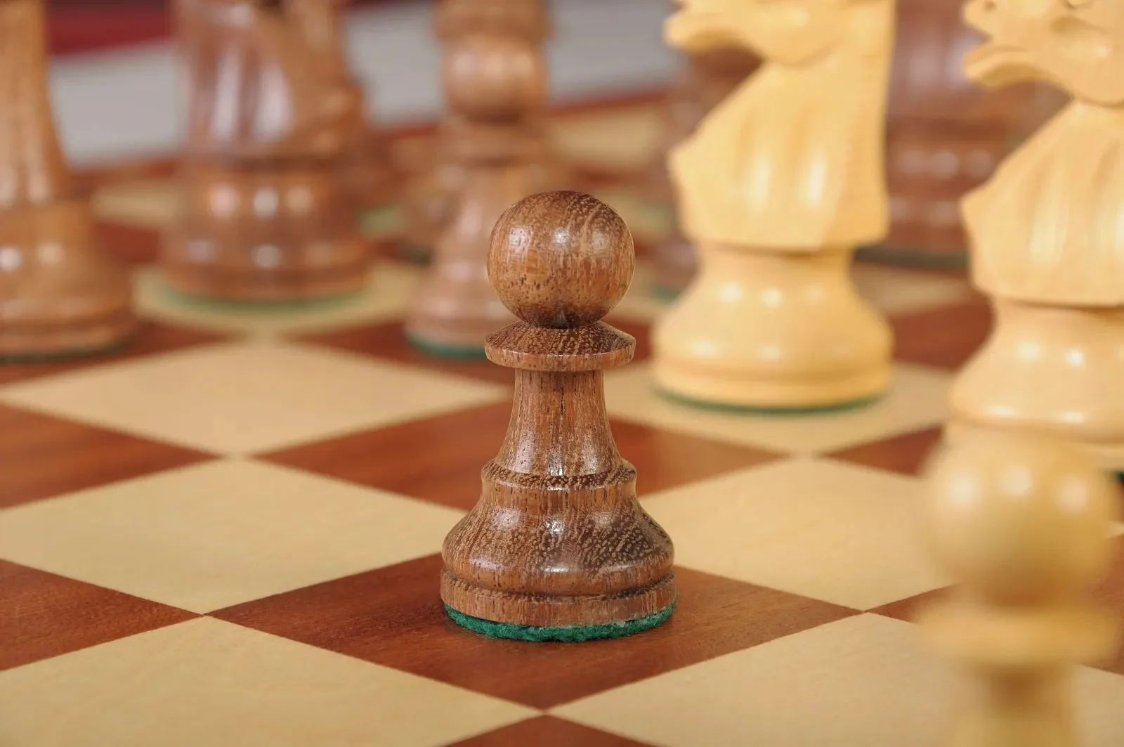 Golden Rosewood and Natural Boxwood - Image 7