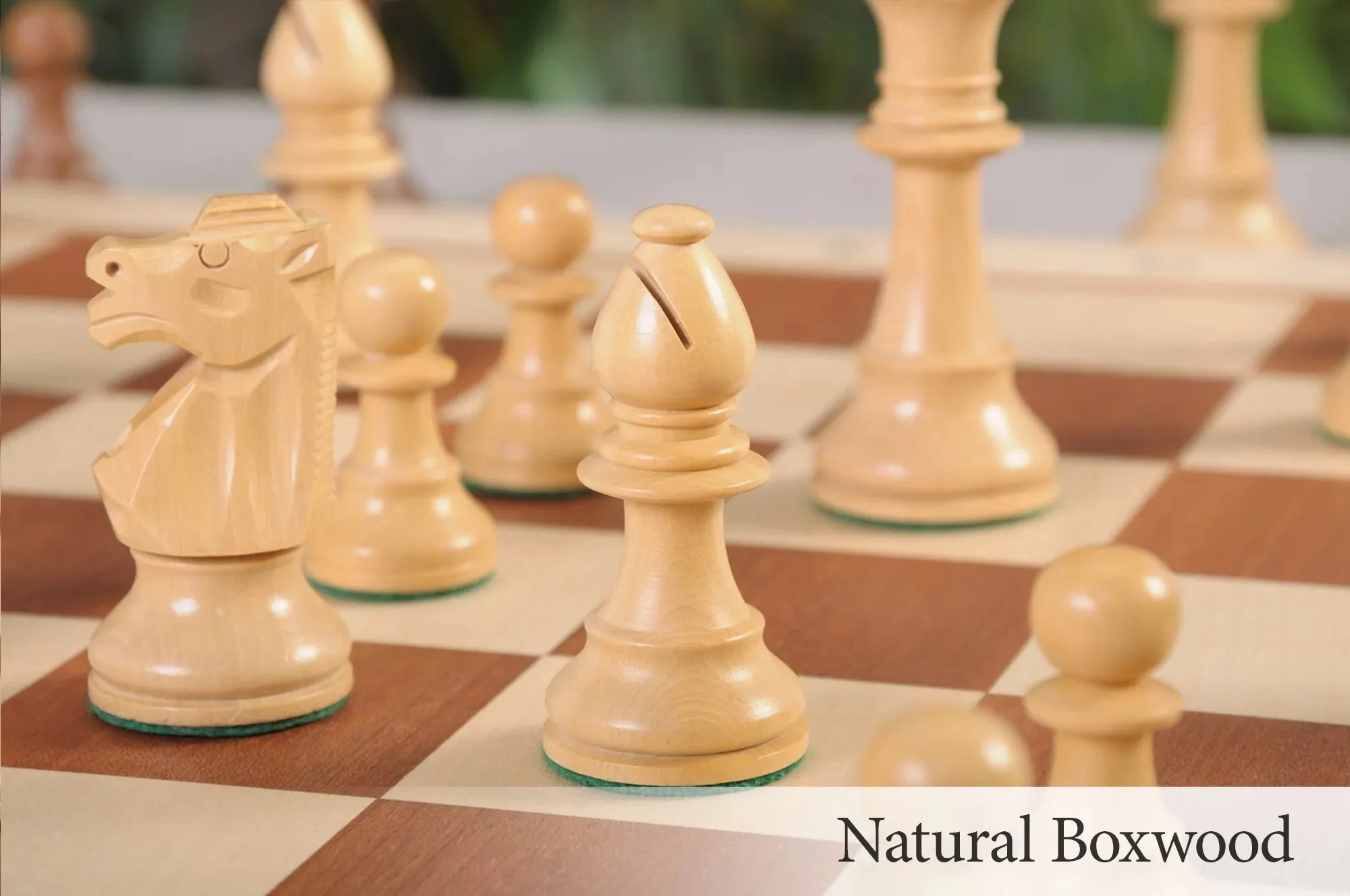 Golden Rosewood and Natural Boxwood - Image 6