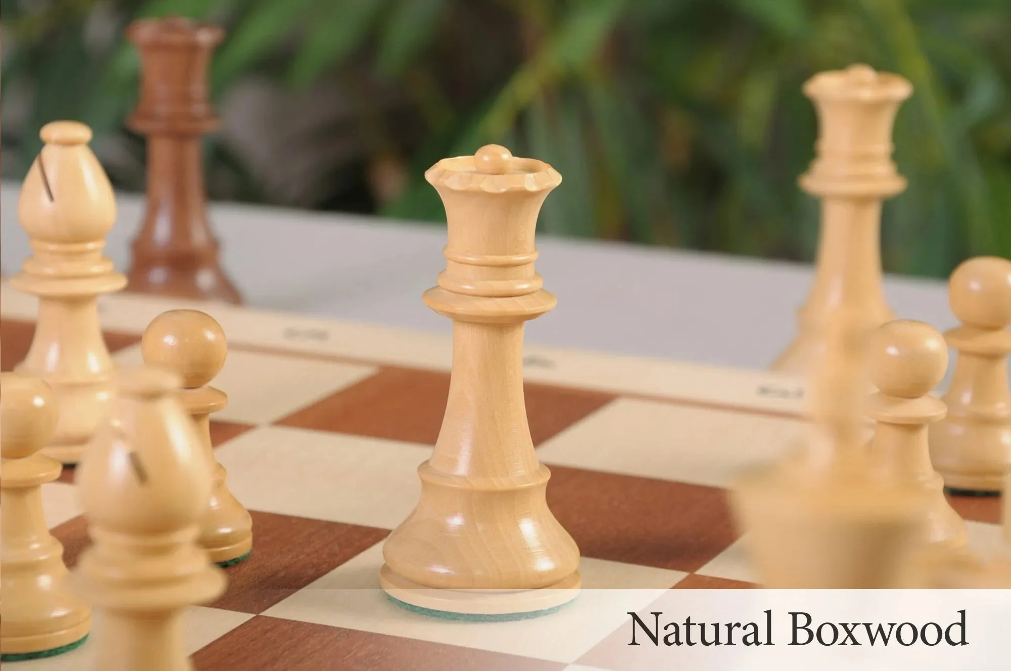 Golden Rosewood and Natural Boxwood - Image 8