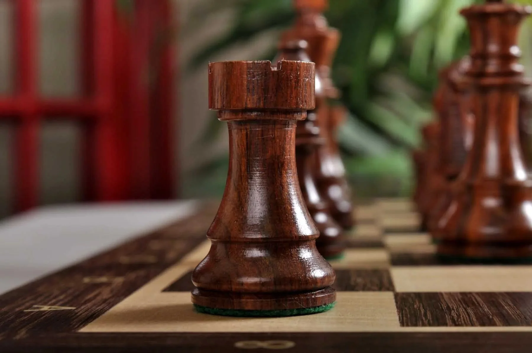 Golden Rosewood and Natural Boxwood - Image 11