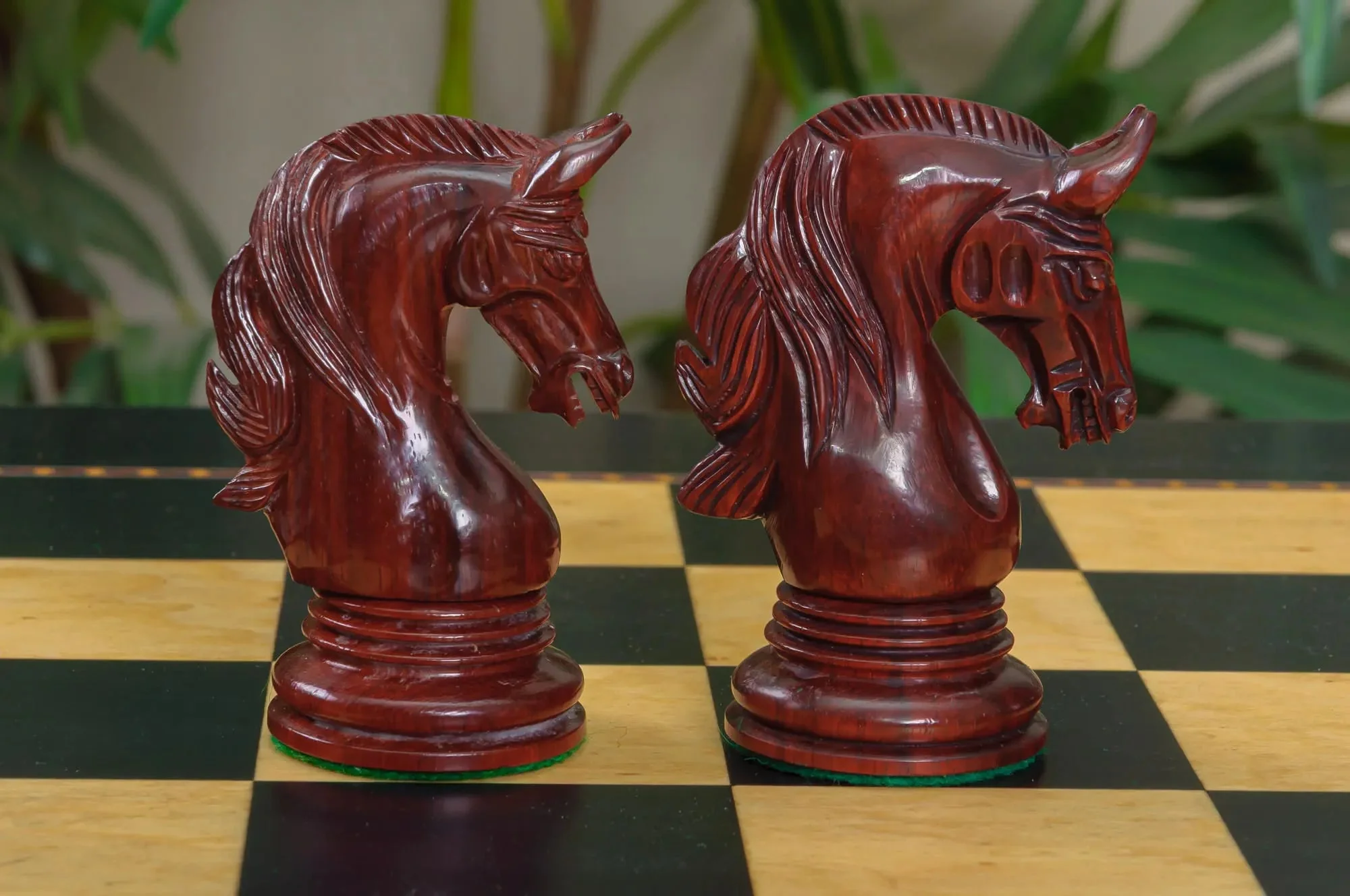 IMPERFECT - 4.4" Teramo - BLOOD ROSEWOOD / BOXWOOD - Wood Chess Pieces - Image 5