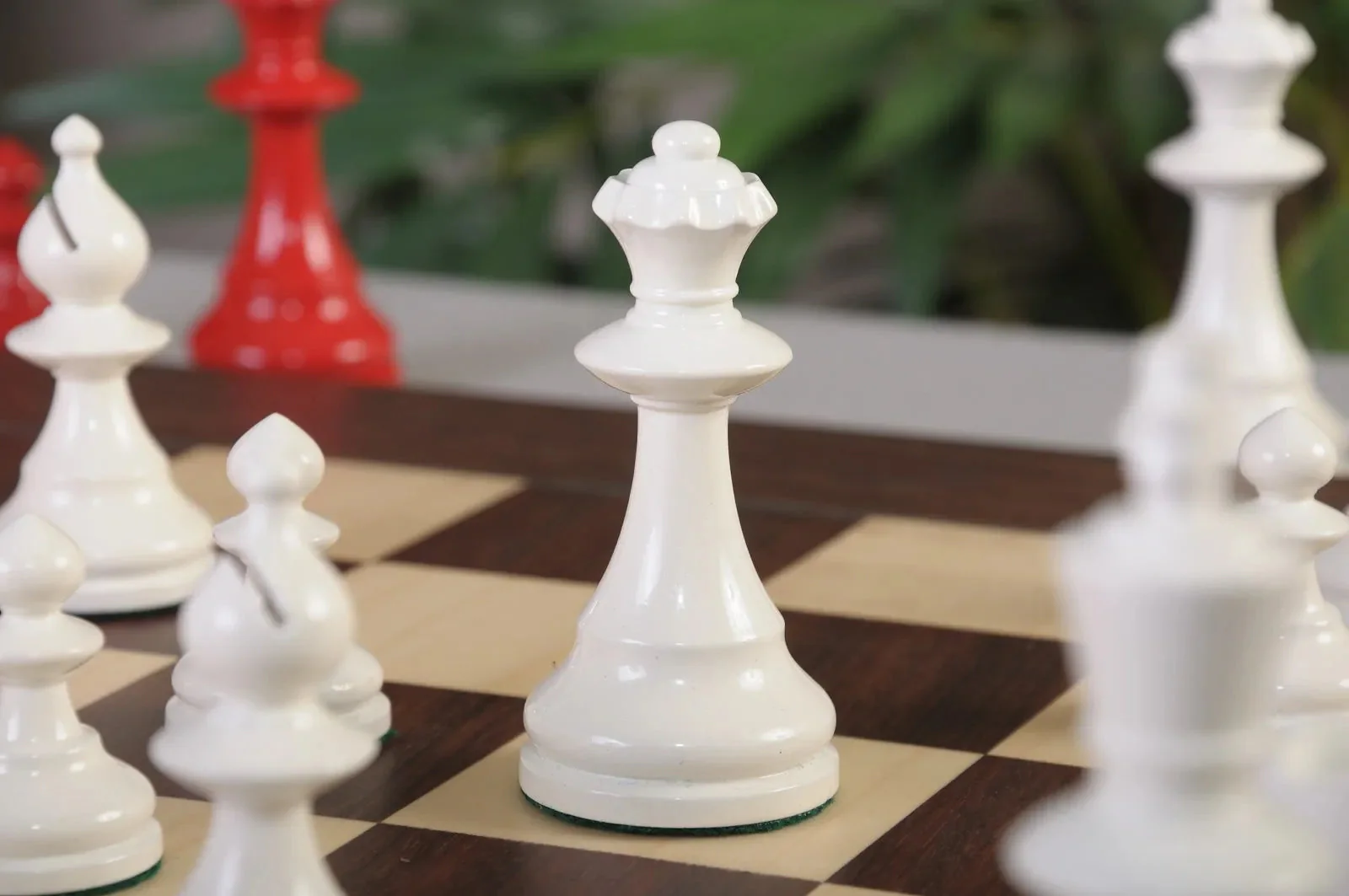 Ivory and Red Lacquered - Image 2