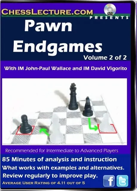 E-DVD Pawn Endgames - 2 DVDs - Chess Lecture - Volume 47 - Image 2