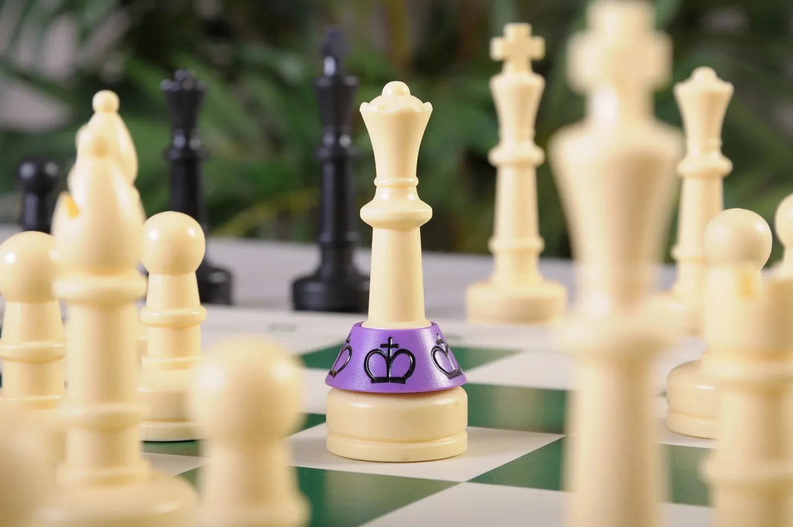 PlunderChess Game Set - Image 17