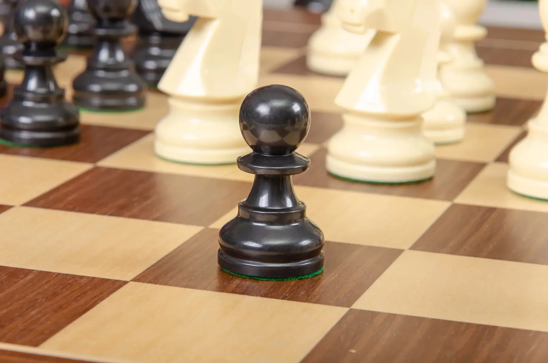The Polish Series Plastic Chess Pieces - 3.75" King - Image 14