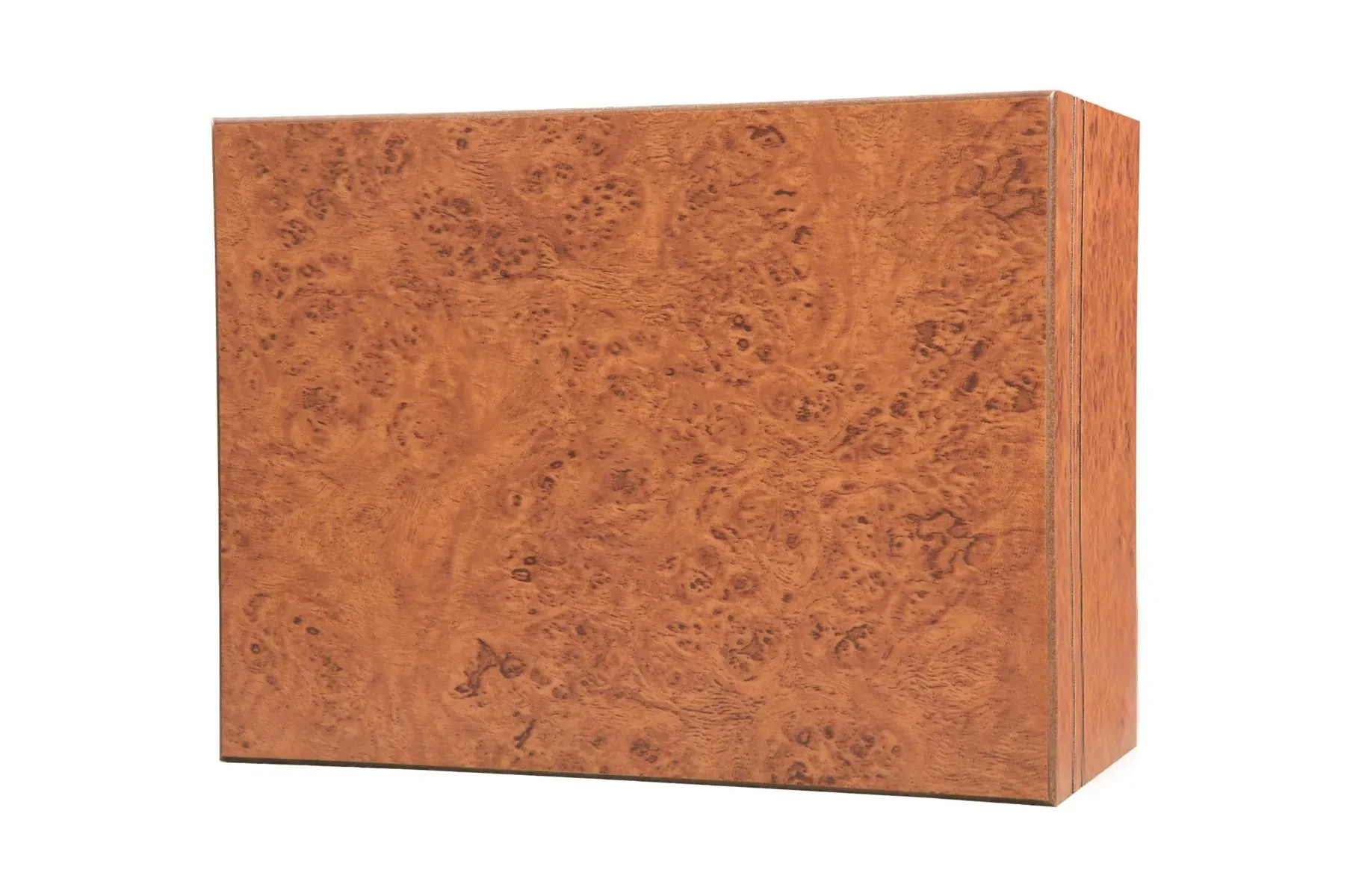 Elm Burl - No Logo - Image 3