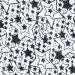 Star / Black Board