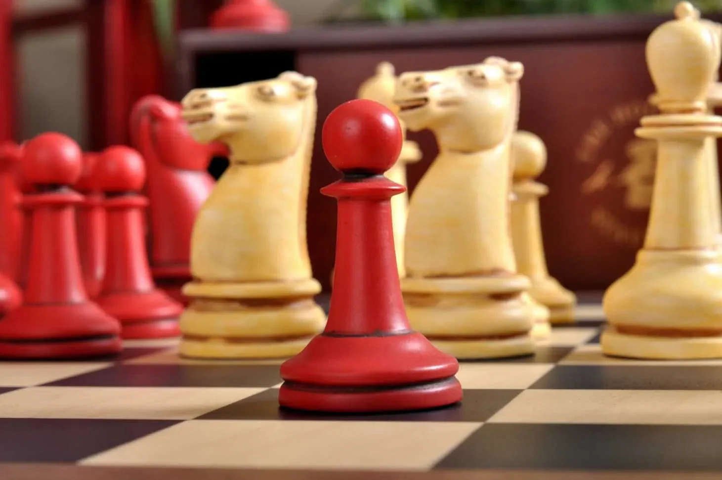 Red and Ivory - Image 6