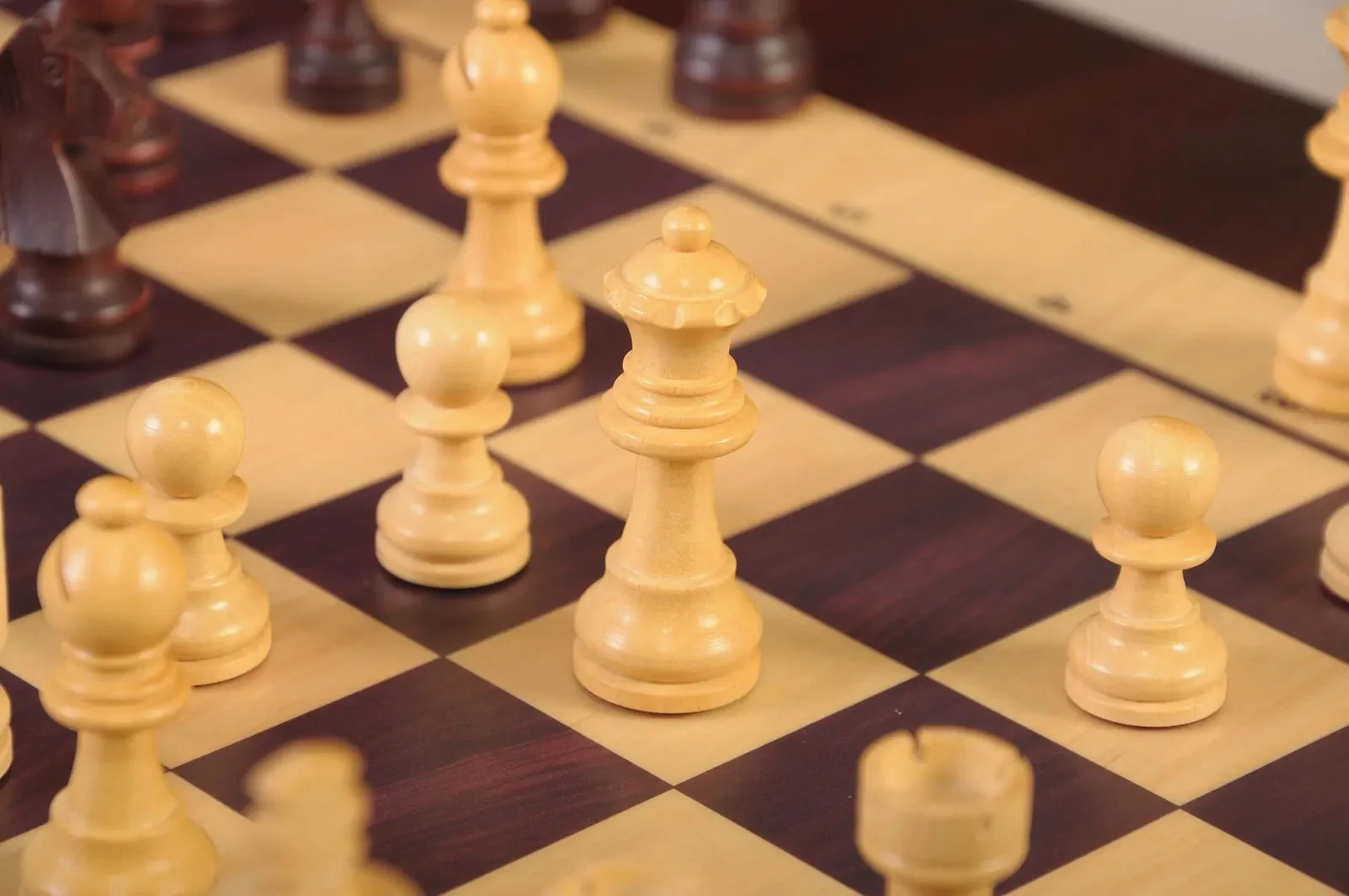 REFURBISHED - Square Off Kingdom Chess Set - Image 11
